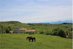 propriete à la vente -   11300  LIMOUX, surface 750 m2 vente propriete - UBI471435851